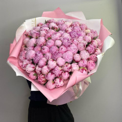 Букет из 101 розового пиона