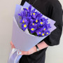 11 фиолетовых ирисов